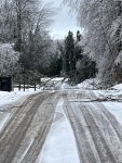 IMG_5258.jpeg