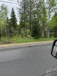 IMG_20250605_070851.jpg