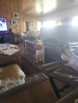 IMG_3729.jpeg