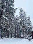 IMG_6193.jpg
