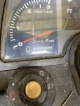 IMG_4361.jpeg