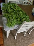 greens.jpg