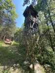 IMG_3458.jpeg