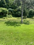 IMG_7871.jpeg