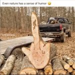nature.JPG