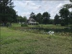 Pond 2.JPG