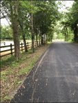 Road Ditch 3.JPG