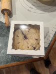 IMG_7887.jpeg
