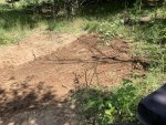 IMG_2055.jpeg