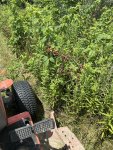 IMG_4416.jpeg