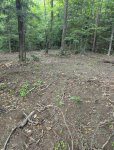 PXL_20250719_215955321.jpg