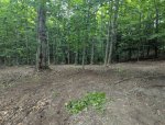 PXL_20250719_215945781.jpg