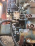IMG_5856.jpeg