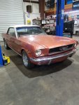 Mustang.jpg