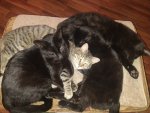 IMG_20250410_193652869.jpg