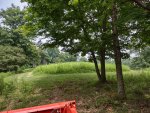 IMG_20250728_152447586_HDR.jpg