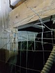 20250801_054109.jpg