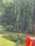 IMG_4023.jpeg