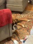 IMG_7919.jpeg