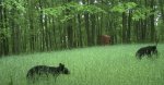 IMG_0810.jpeg