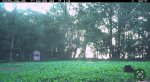 IMG_8255.jpeg