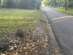 IMG_0122.jpeg