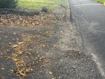IMG_0123.jpeg