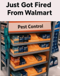 1757068722355.png