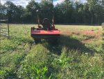 Pasture Start.jpg