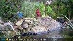 DSCF0060.JPG