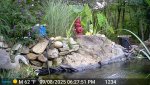 DSCF0061.JPG