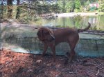Cody Lake 8.jpg