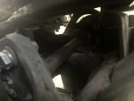 IMG_3359.jpeg