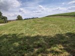 IMG_20250916_140227237_HDR.jpg