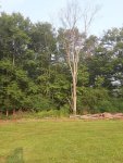 20250805_075902.jpg