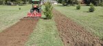 drag-tiller.jpg