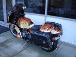 DSC02336.JPG