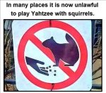 yahtzee.jpg