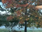IMG_3833.jpeg