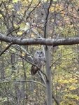 IMG_0478.jpeg