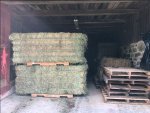 horse hay 10_25_25.jpg