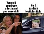testicles.jpg