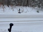 IMG_8659.jpeg