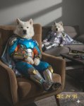 superdawgs.jpg