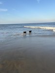 IMG_0132.jpeg