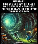Rabbit Hole.jpg