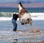 1779116916935.png