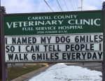 1781182743102.png