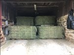 June Hay 3.jpg