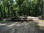 IMG_9751.jpeg